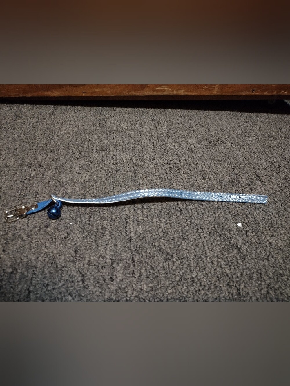 Sparkling Blue Braided Cat Collar with Bell